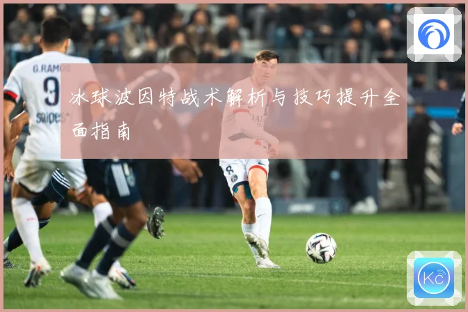 冰球波因特战术解析与技巧提升全面指南